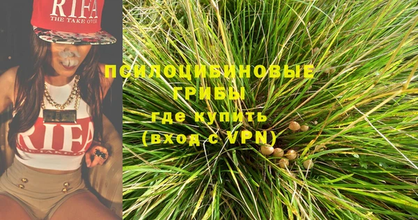 шишки Зерноград