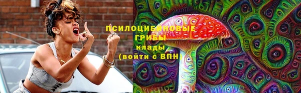 шишки Зеленодольск