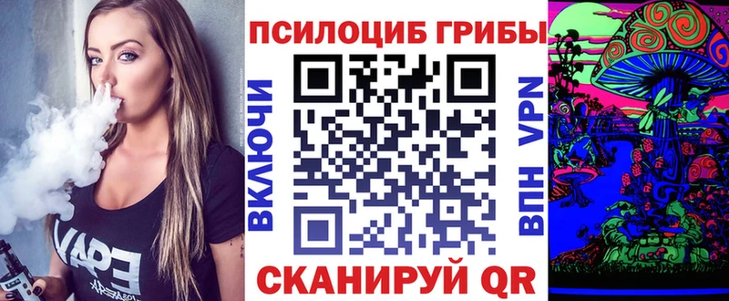 Галлюциногенные грибы MAGIC MUSHROOMS  Купить  Туринск 